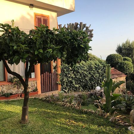 Il Vicolo Palinuro Villa Pisciotta Exteriör bild