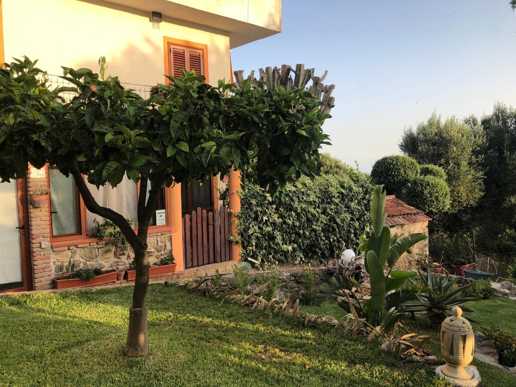 Il Vicolo Palinuro Villa Pisciotta Exteriör bild